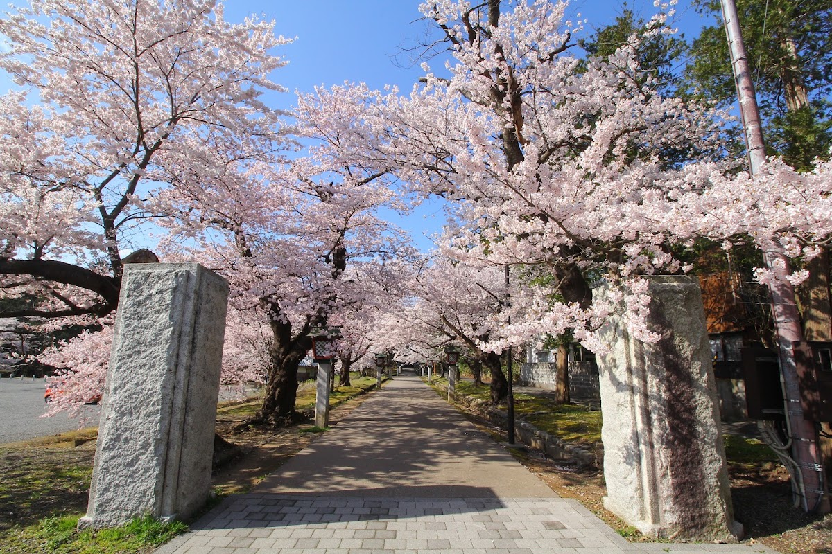 彥公園楓葉谷