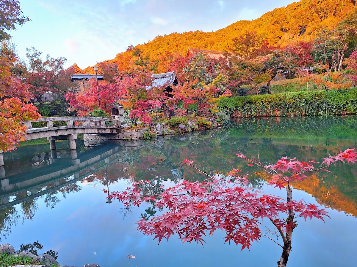 永観堂(禅林寺)
