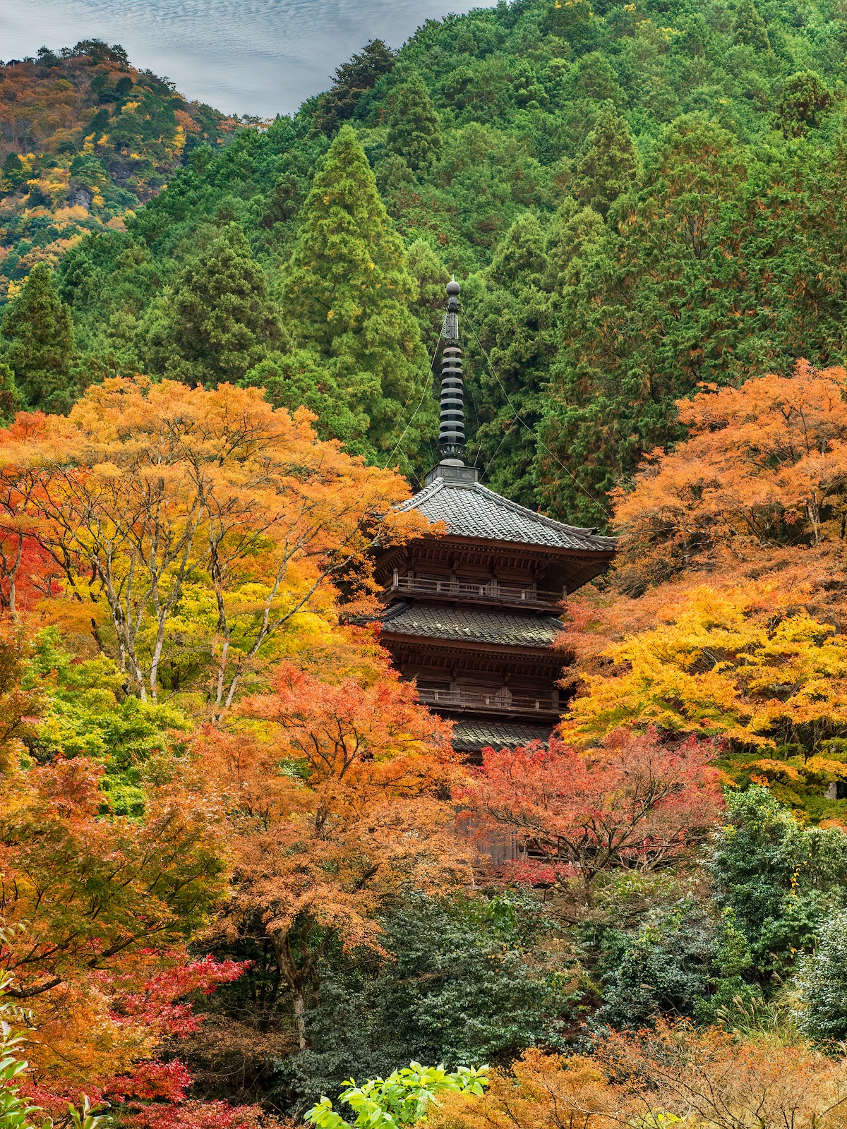 高源寺(兵庫県丹波市)