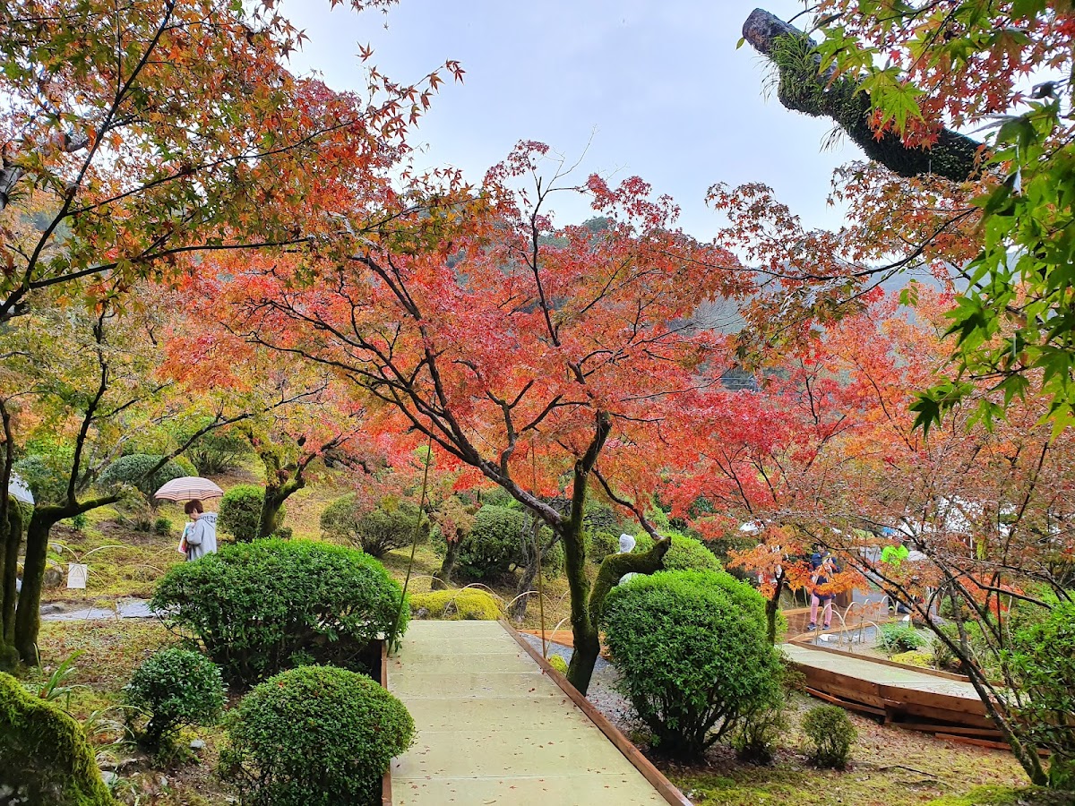 九年庵 佐賀県