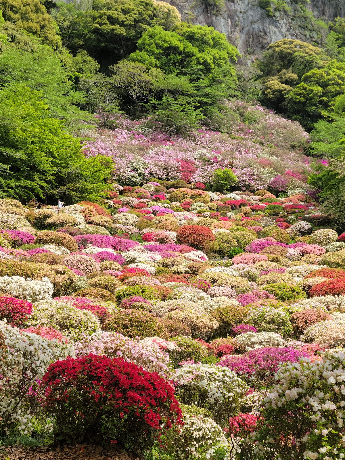 御船山楽園 佐賀県