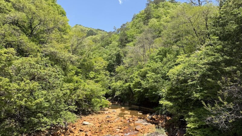 白砂渓谷ライン