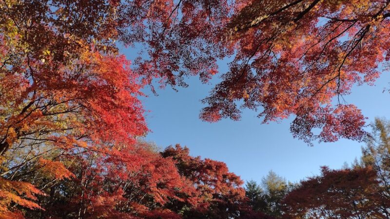 三依地区（栃木県）