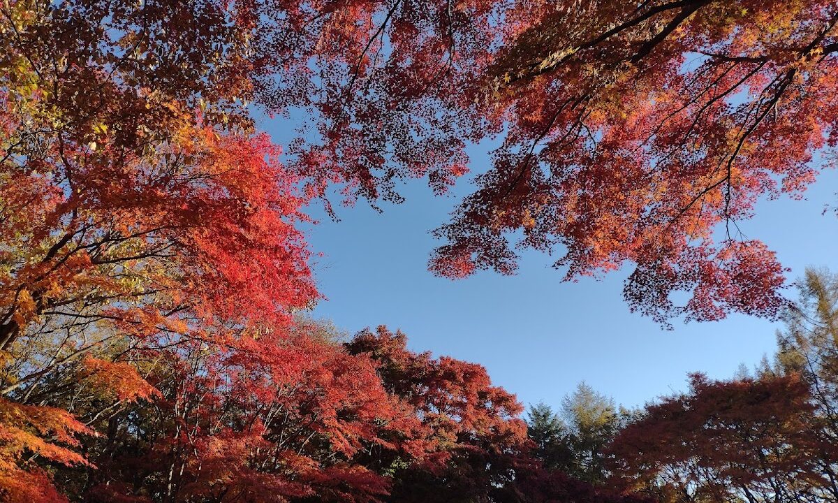 野岩鉄道 会津鬼怒川線