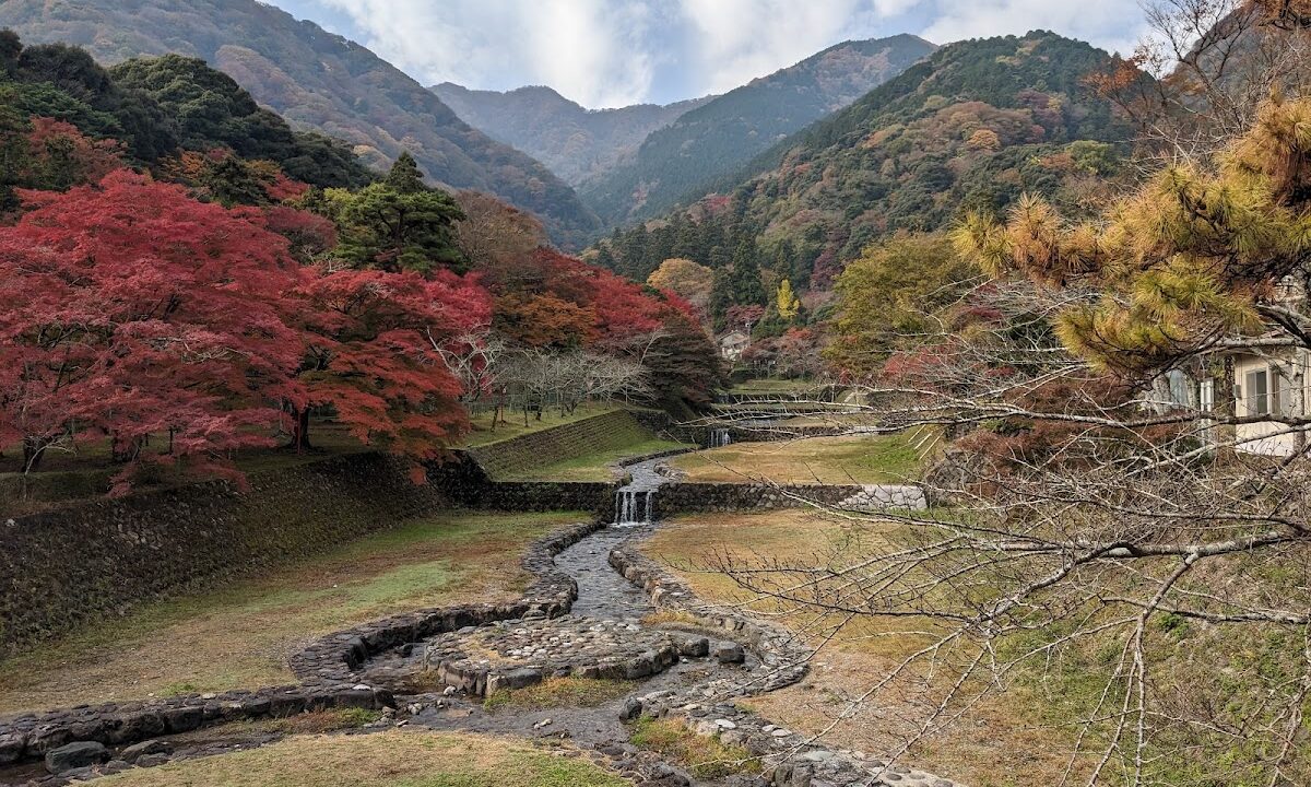 長良川鉄道（岐阜県）