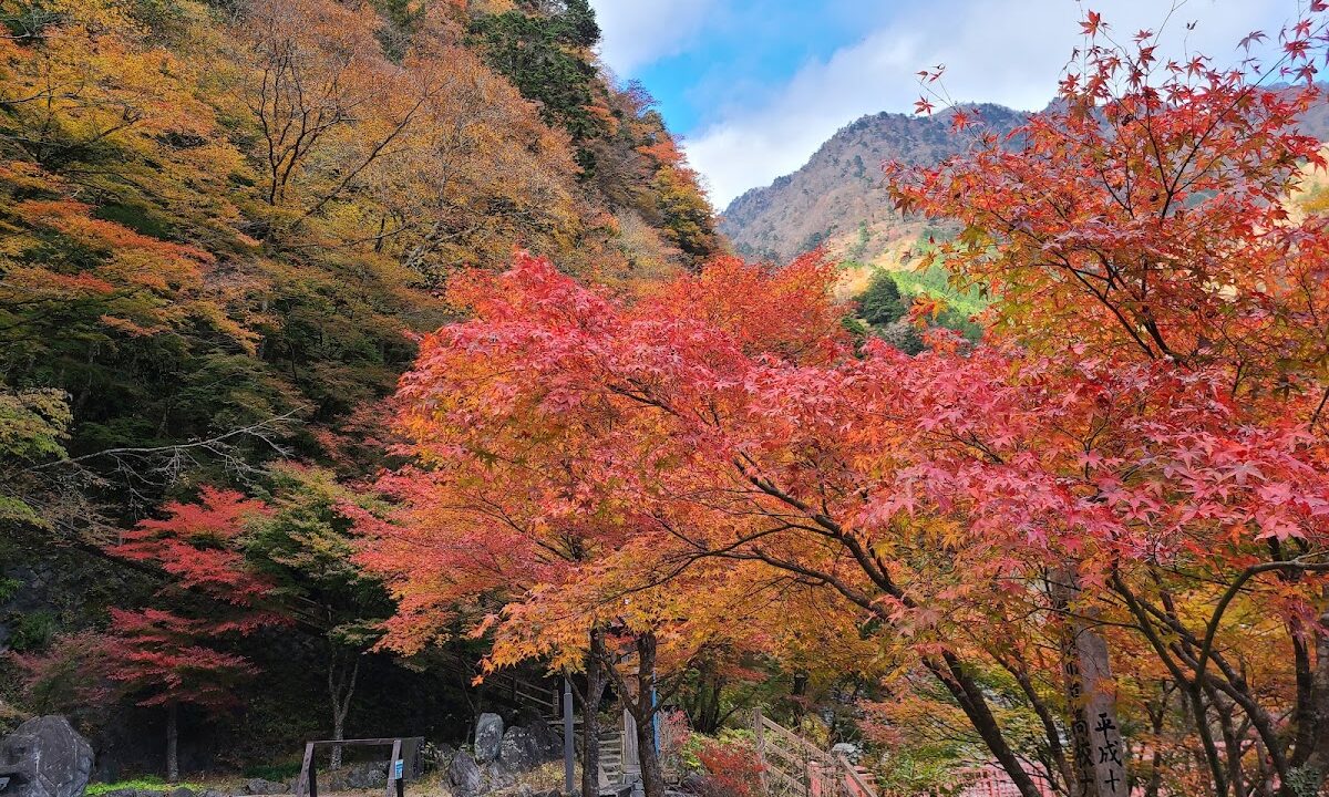 Umegashima Hot Spring (Shizuoka Prefecture)