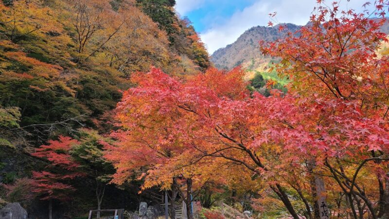 梅ヶ島温泉（静岡県）