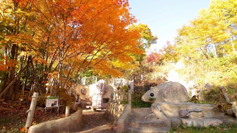 国営滝野すずらん丘陵公園 北海道