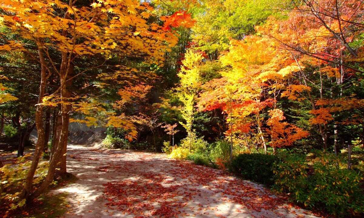 Benizakura Park Hokkaido