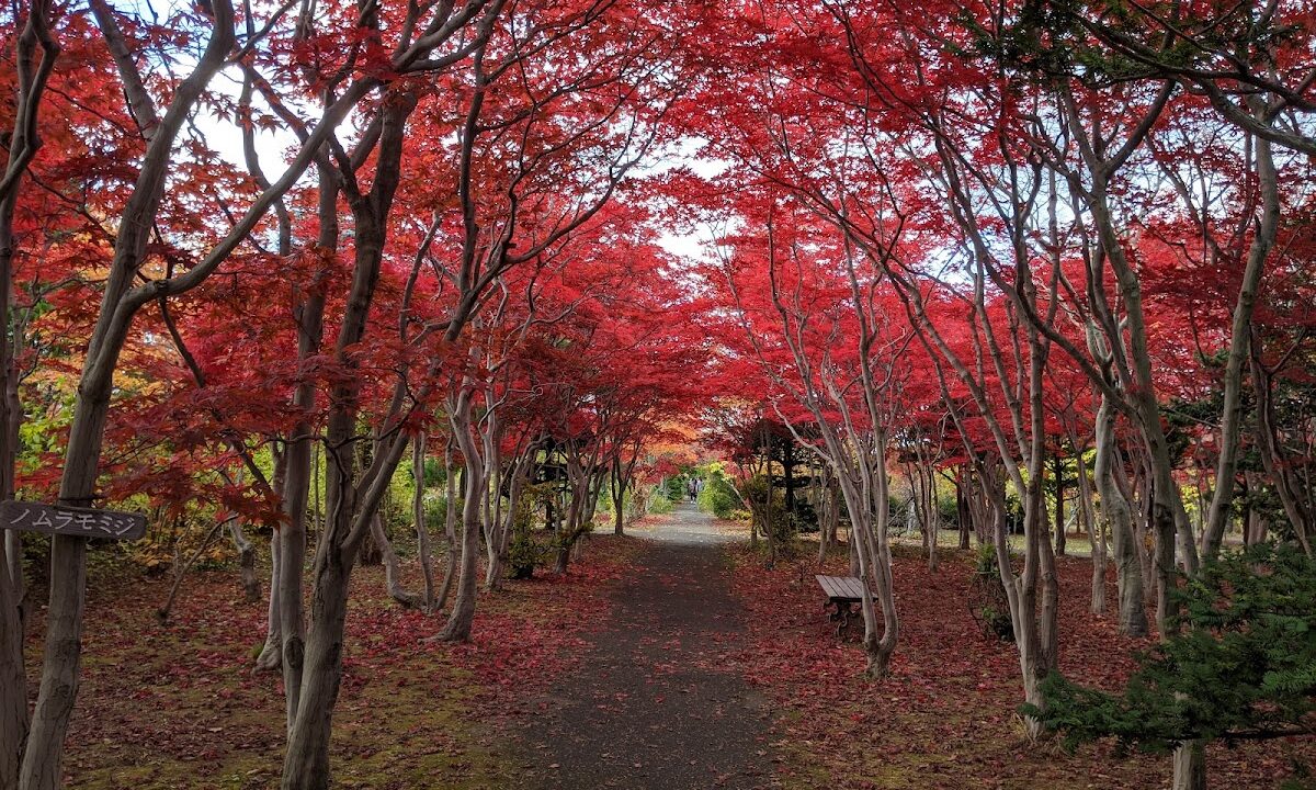 Hiraoka Tree Art Center Hokkaido