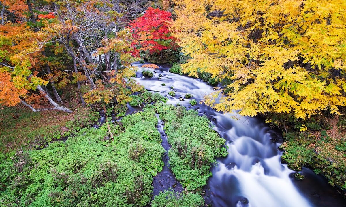 阿寒湖畔 北海道