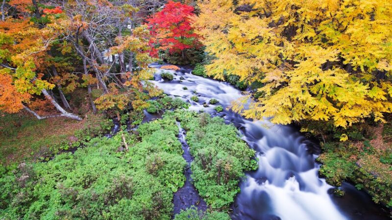 阿寒湖畔 北海道