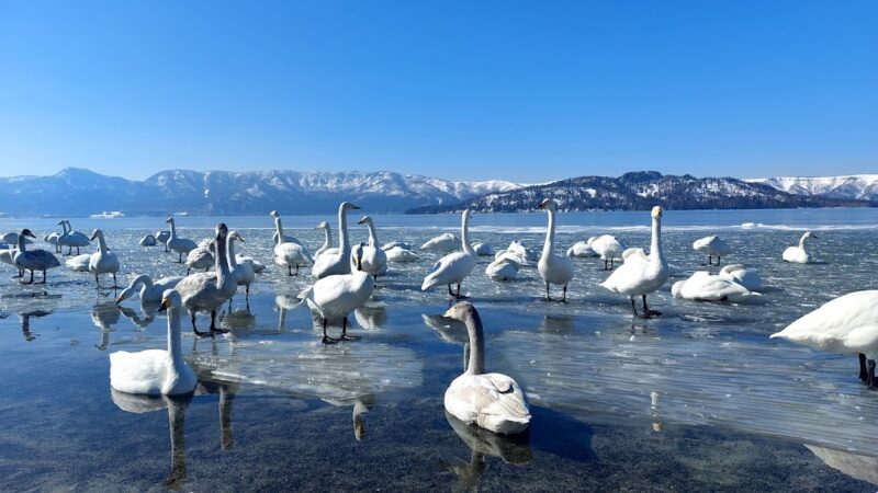 屈斜路湖畔 北海道
