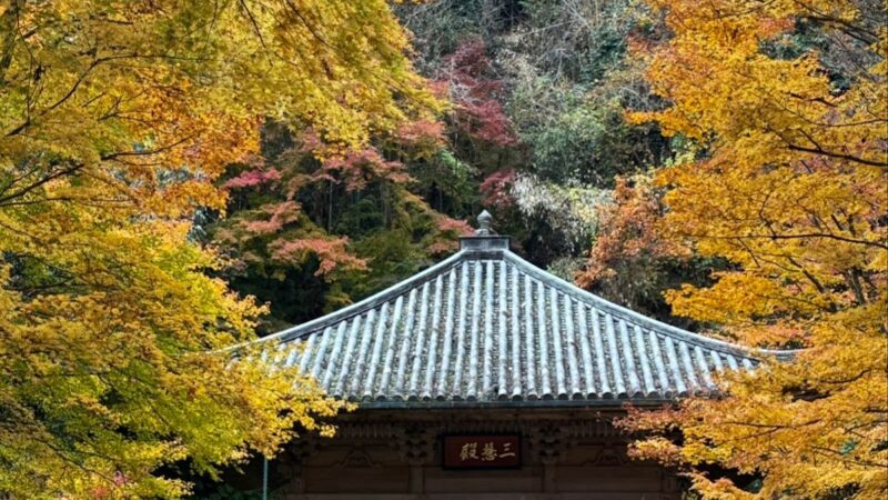 円通院 宮城県
