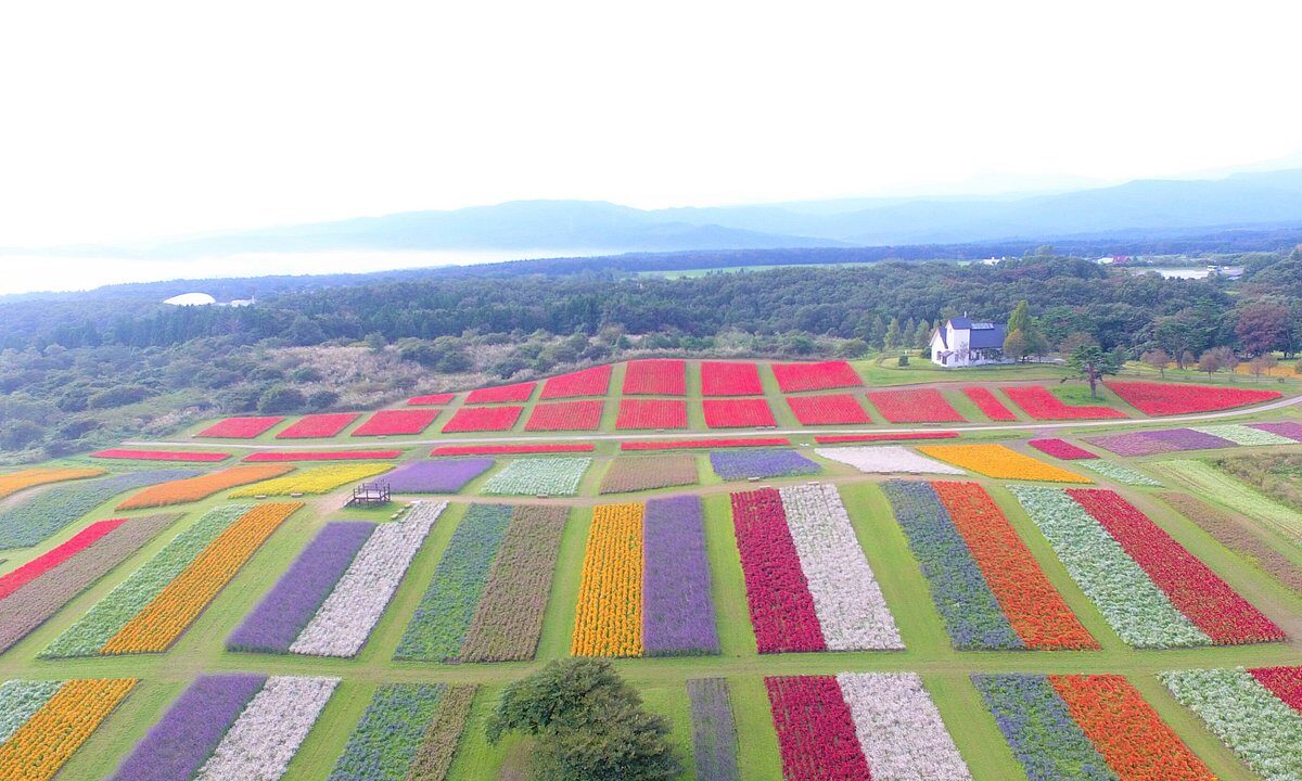 薬莱山 宮城県
