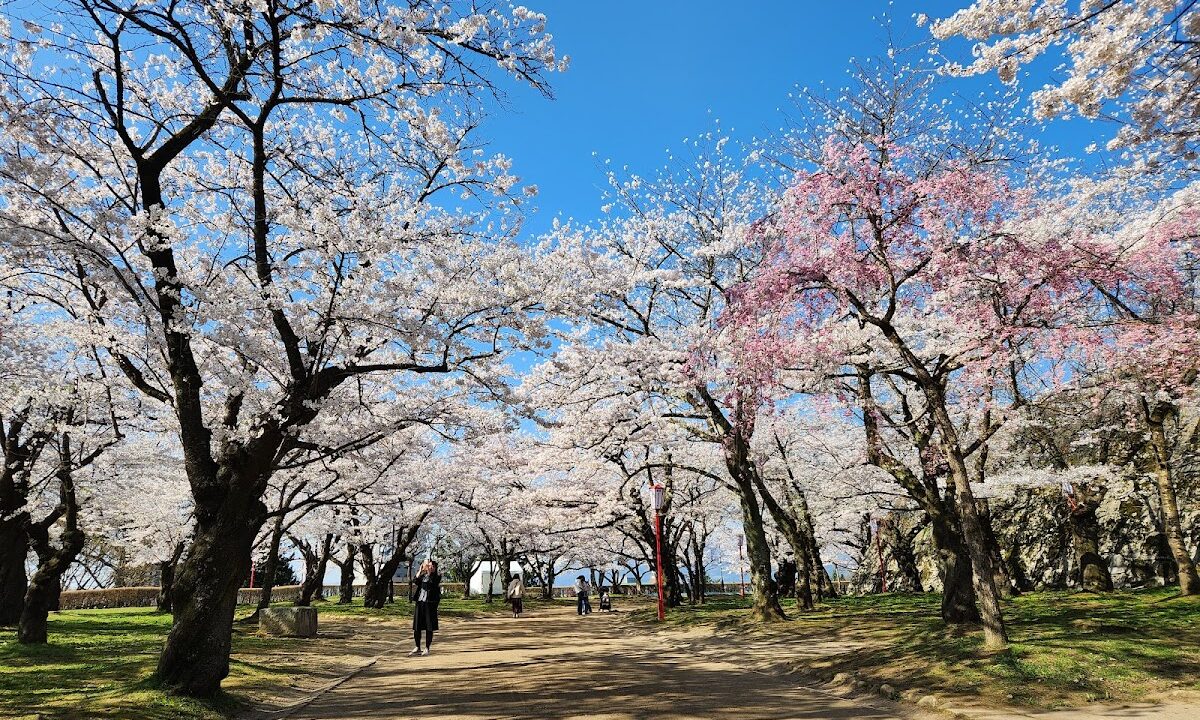 盛岡城跡公園（岩手公園）