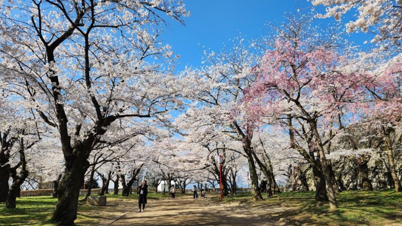 盛岡城跡公園（岩手公園）