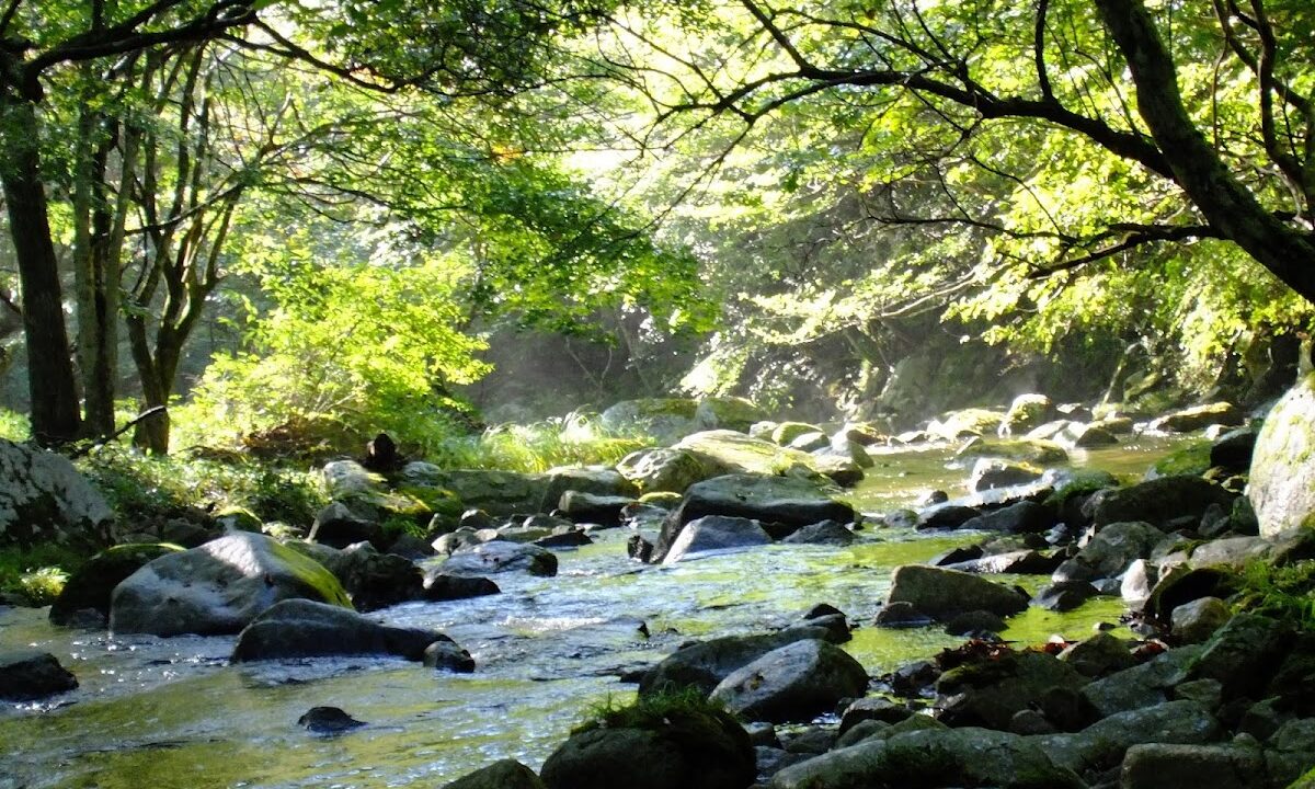大窪渓谷 岩手県
