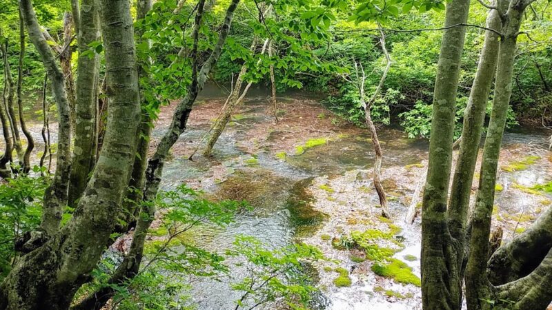 獅子ヶ鼻湿原 秋田県