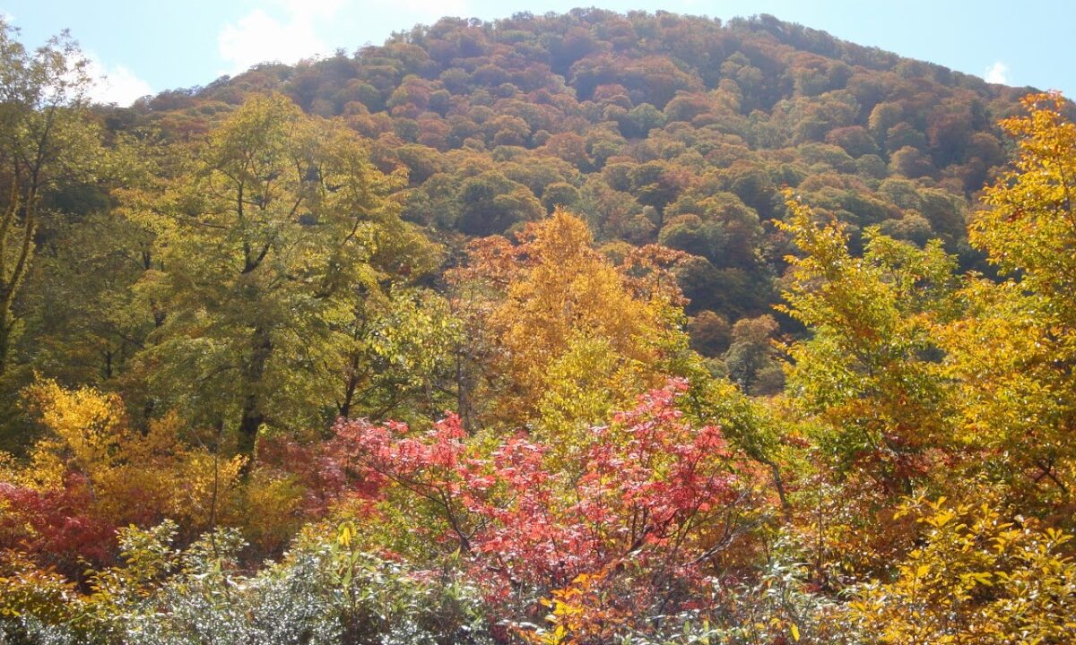 白神山地 素波里湖周辺 秋田県