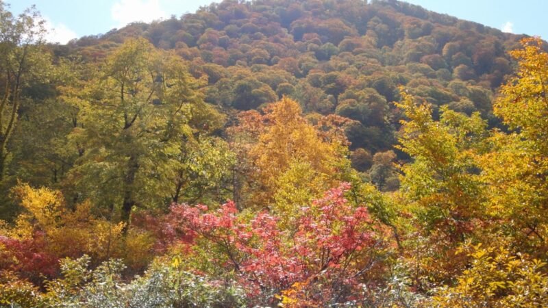 白神山地 素波里湖周辺 秋田県