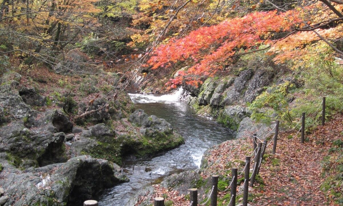 真瀬溪谷 秋田县