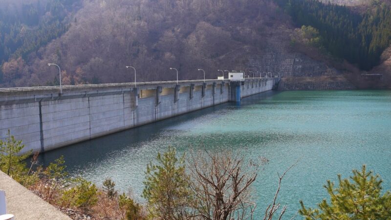 レークピア白水