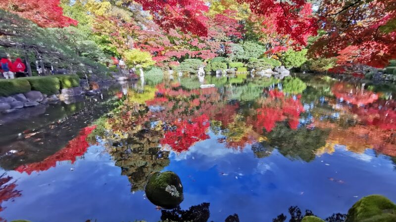 月山花笠ライン