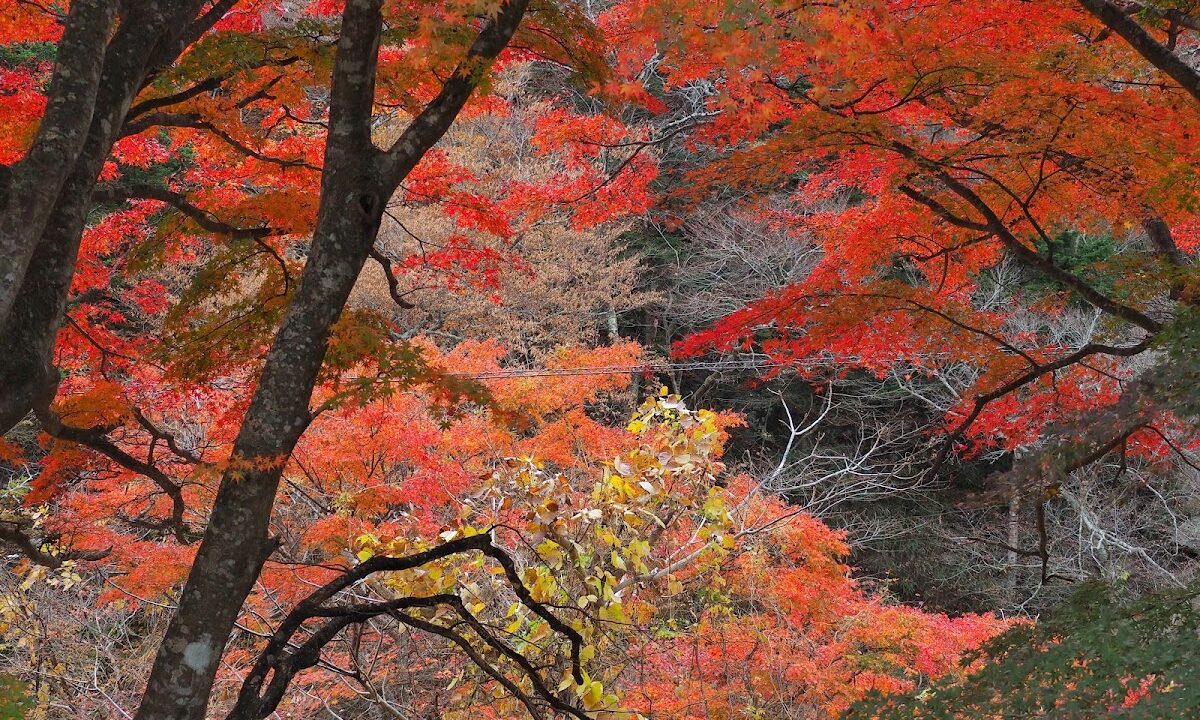 Natsui River Gorge, Fukushima Prefecture