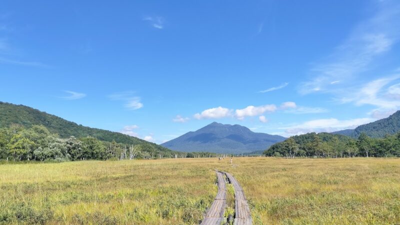 尾瀬国立公園 田代山