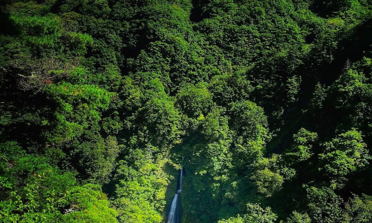 Tsumujikura Waterfall, Fukushima Prefecture