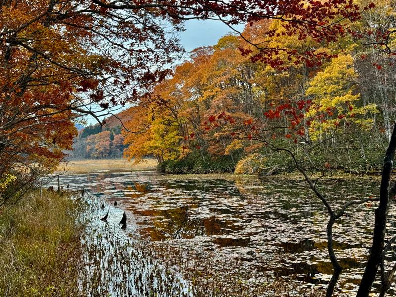 矢ノ原湿原 福島県