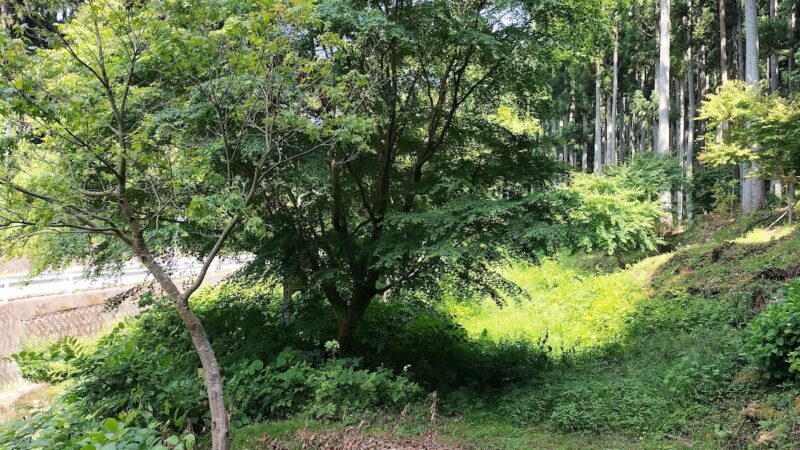 母畑湖 福島県