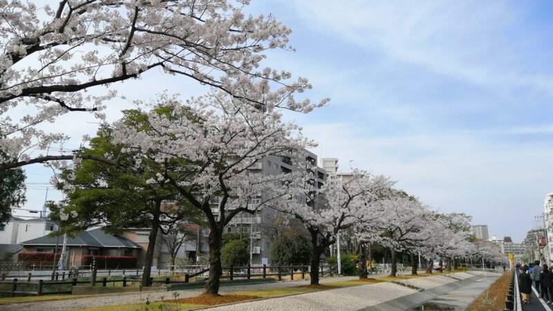 仙台堀川公園 東京都江東区