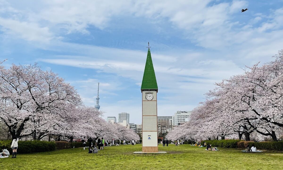 猿江恩賜公園 東京都 – 江戸時代の貯木場から生まれた緑豊かな都立公園