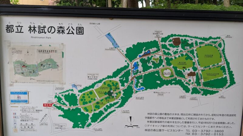 林試の森公園 東京都