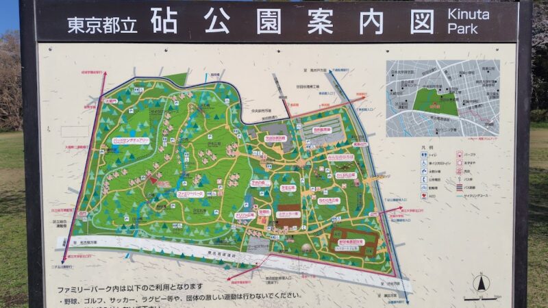 砧公園 東京都