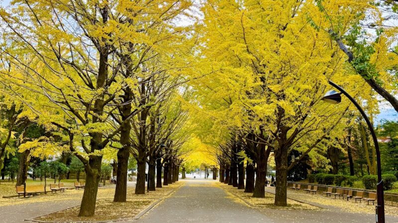光が丘公園 東京都