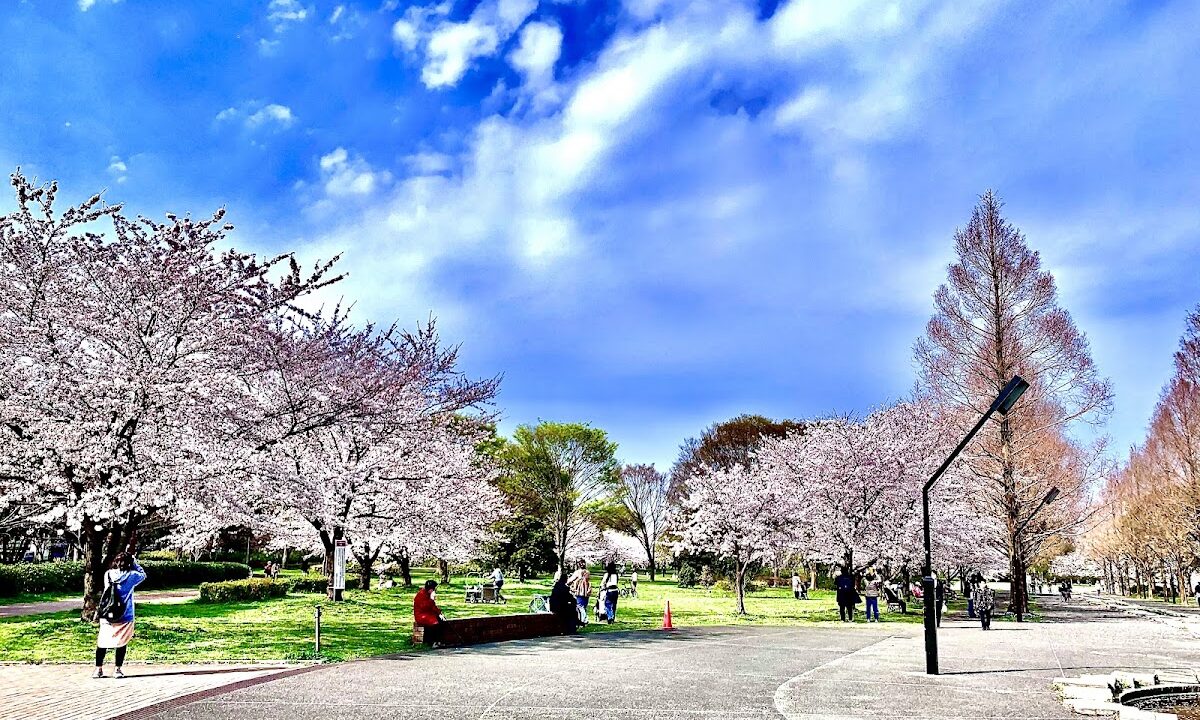 都立舎人公園 東京都