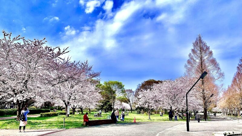 都立舎人公園 東京都