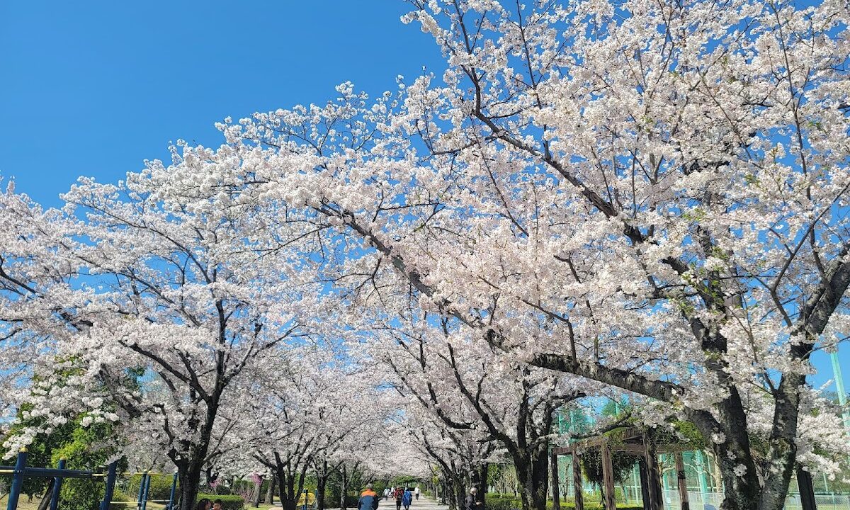 Ryonan Park, Tokyo