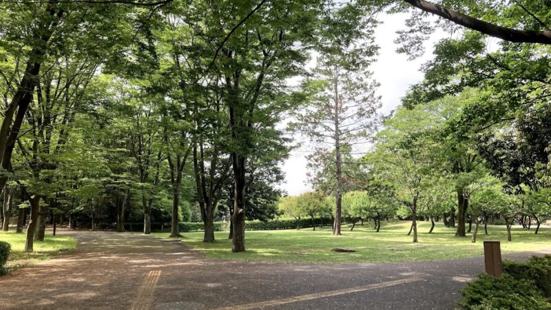 府中の森公園 東京都