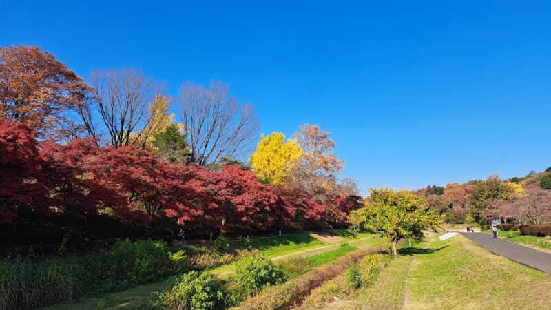 都立武蔵野公園 東京都