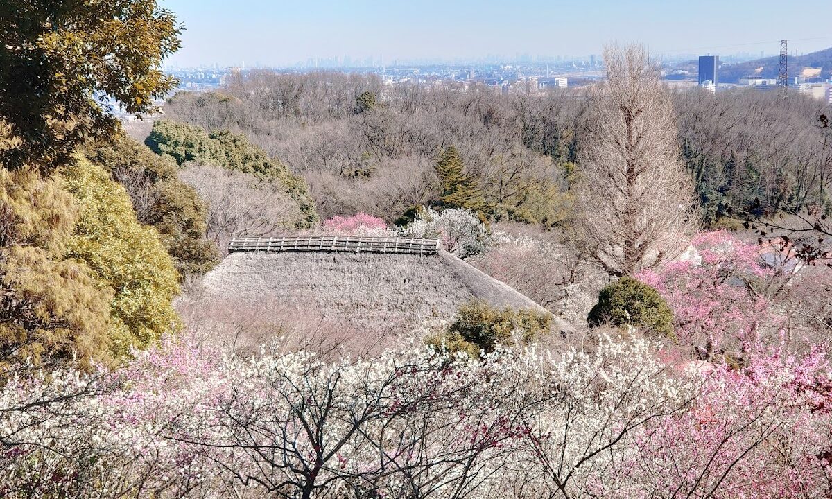 Keio Hakusoen Tokyo, Japan