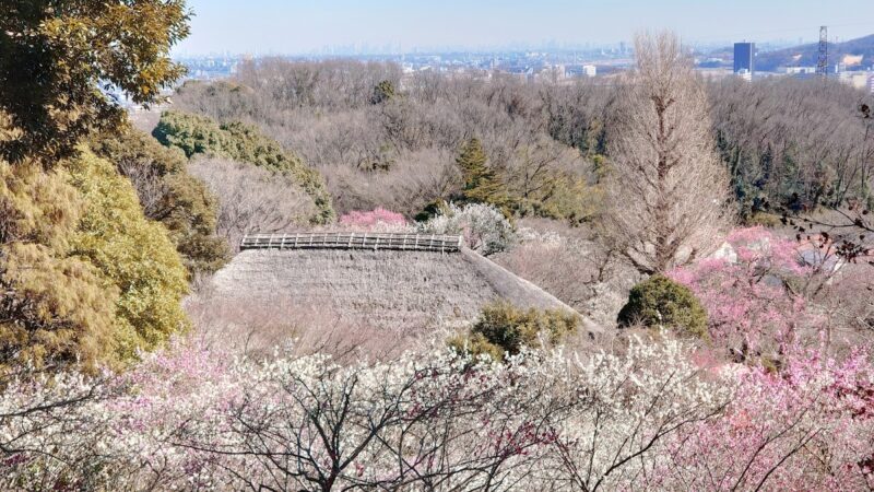 京王百草園 東京都