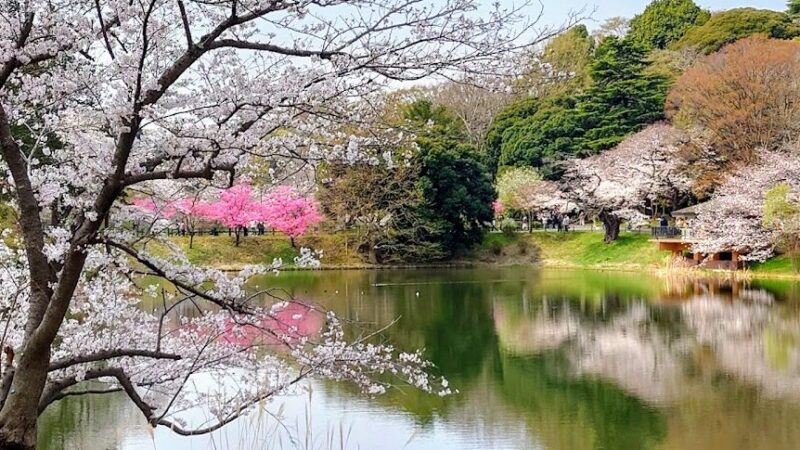 県立三ツ池公園（神奈川県）