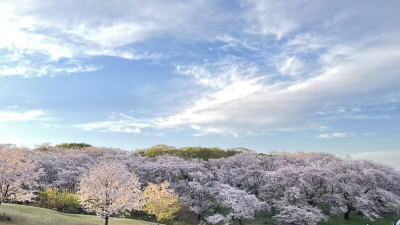 根岸森林公園（神奈川県）