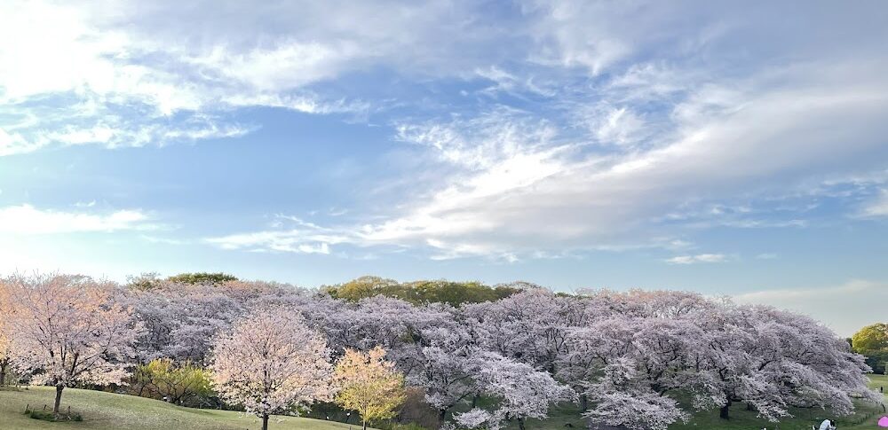 根岸森林公园（神奈川县）