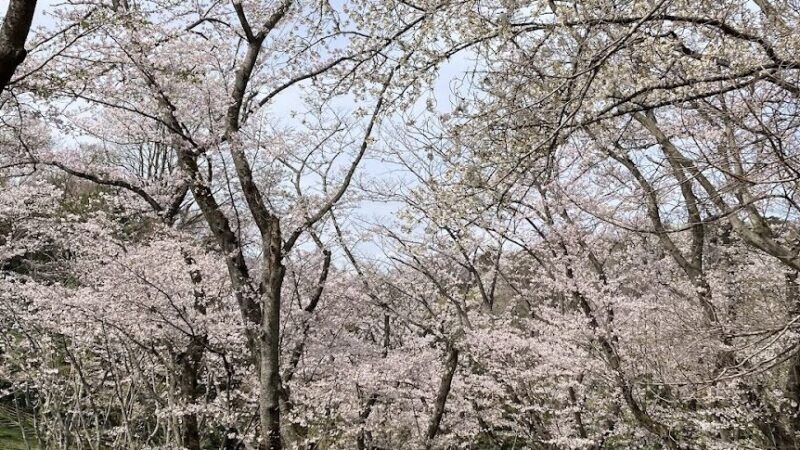 久良岐公園（神奈川県）