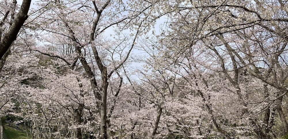 Kuraki Park (Kanagawa Prefecture)